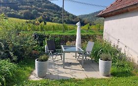 Ferienhaus In Der Wachau